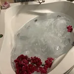 Case de vacanță C-elena Terra