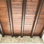 Case de vacanță C-elena Terra