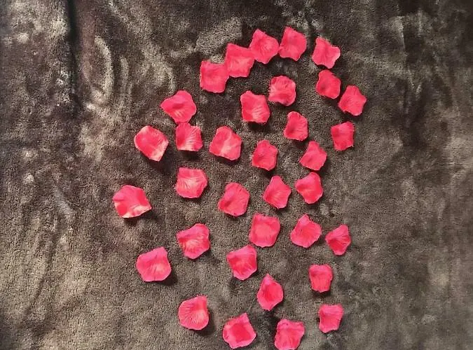 C-elena Дом отдыха *