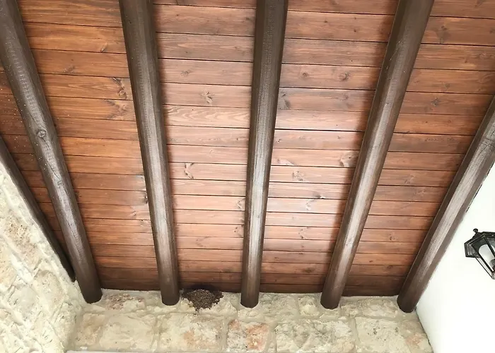 Ferienhaus C-elena Terra