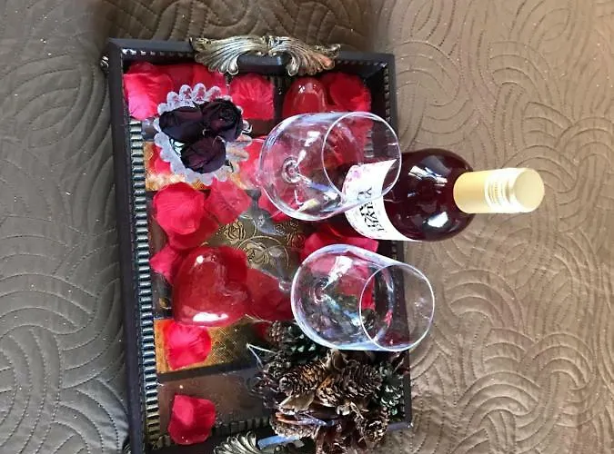 C-elena Дом отдыха